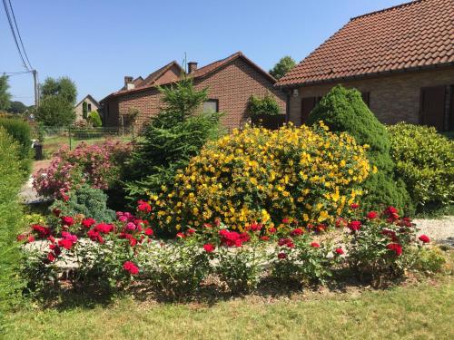 Ein Garten an der Unterkunft Le Valdine
