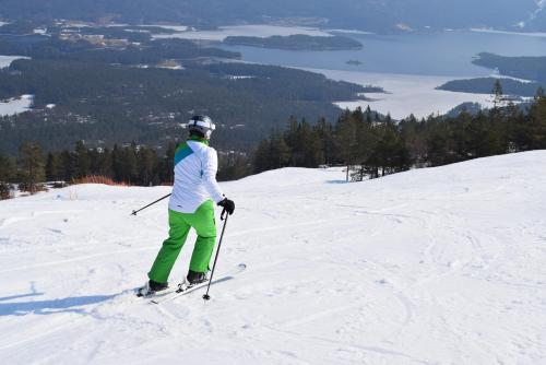 a person on skis on a snow covered slope at Ferienhaus Fjellblikken in Sinnes