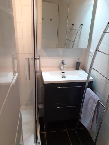 une salle de bain avec un lavabo et un miroir dans l'établissement Hélios 32, T2 climatisé, parking, 500m plage, au Cap d'Agde
