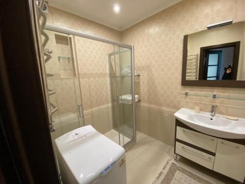 a bathroom with a shower and a toilet and a sink at Luxury apartment 2 in Truskavets