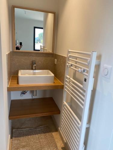 een badkamer met een wastafel en een spiegel bij Les Palivettes 2.1 in Malaucène