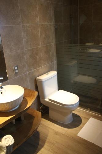 a bathroom with a toilet and a sink and a shower at Hotel Costanera in Villarrica