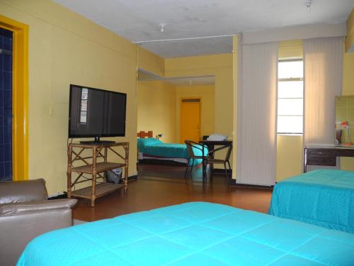 TV a/nebo společenská místnost v ubytování Hotel San Sebastian