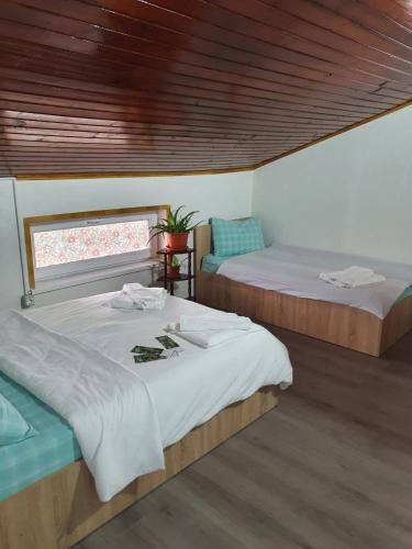 a room with two beds and a window at Casa Radu in Tulcea