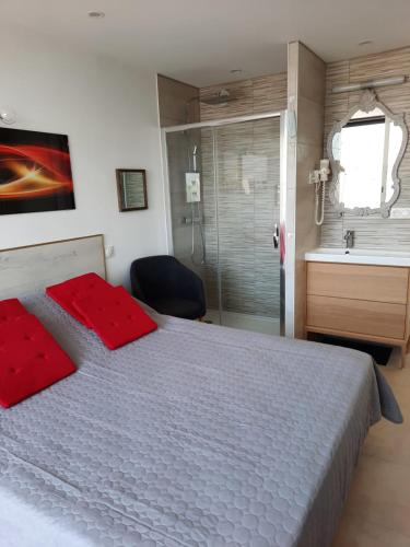 une chambre avec un lit et une salle de bain avec douche dans l'établissement Naturiste Cap d'Agde Héliopolis D 11, au Cap d'Agde