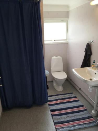 a bathroom with a toilet and a blue shower curtain at Trädgårdsstugan på Malingsbo herrgård in Malingsbo