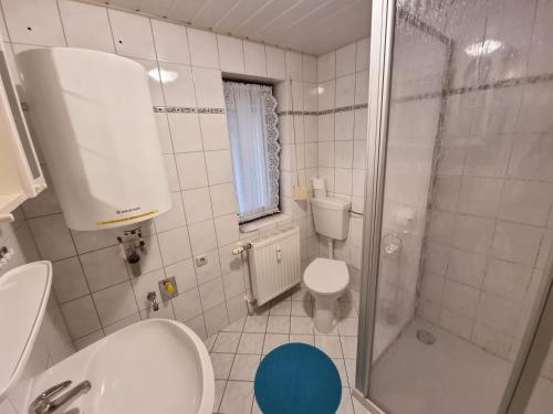 a bathroom with a shower and a toilet and a sink at Ferienhaus Zeus / Seebad Ückeritz / Insel Usedom in Ueckeritz