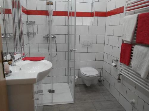 e bagno con doccia, servizi igienici e lavandino. di Ferienwohnung Anita Benz a Thurmansbang