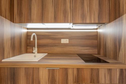 a kitchen with a sink and wooden cabinets at Bib Rambla Luxury Apartments in Granada