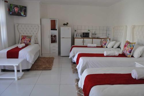 Habitación con 3 camas y cocina. en Timo's guesthouse accommodation, en Lüderitz
