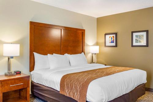 Katil atau katil-katil dalam bilik di Comfort Inn DeKalb - University Area