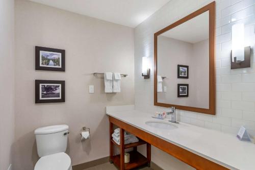 A bathroom at Comfort Inn & Suites