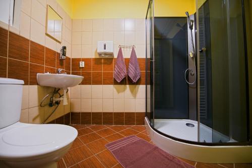 a bathroom with a shower and a toilet and a sink at Penzion Na Rychtě in Malá Morávka