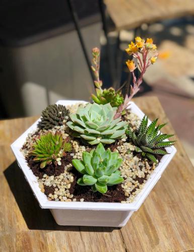 a white bowl filled with plants on a wooden table at Nụ Cười Xinh in Da Lat