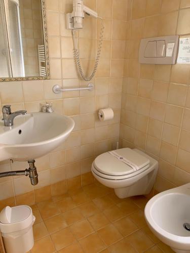 a bathroom with a sink and a toilet at Hotel Alpi - Asiago in Asiago