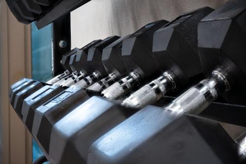 Fitness centrum a/nebo fitness zařízení v ubytování Le Rose Suite Hotel