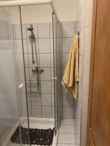 eine Dusche mit Glastür im Bad in der Unterkunft Várlak Apartman in Dinnyés
