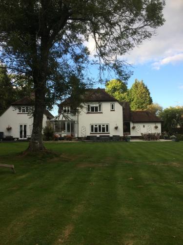 Κήπος έξω από το Woodacre B & B
