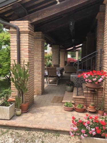 a patio with plants and flowers in pots at La casa di Pilar in Cotignola