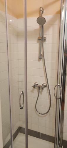 a shower with a shower head in a bathroom at Hotel Du Tertre in Mont-Dol