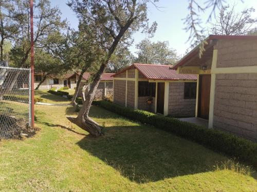 Omitlán de Juárez的住宿－Casa Manning y Salón la Troje By Rotamundos，院子里有树的房子