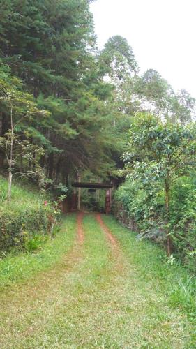 Landskap semula jadi dekat dengan chalet