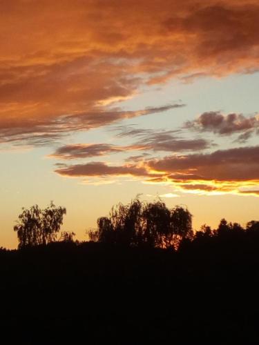 a sunset over a field with trees in the foreground at Gasthof-Hotel Dilger in Rattenberg