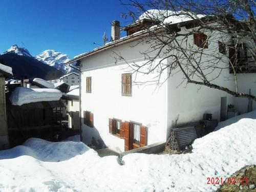 Piccola Stella Alpina – Photos 2