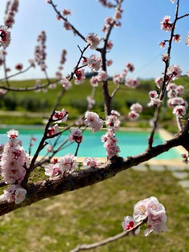 B&Bの近くで見られる自然の景観