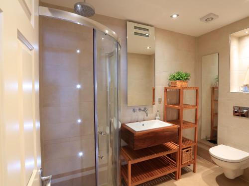 a bathroom with a shower and a sink and a toilet at 2 Embankment House in Dartmouth