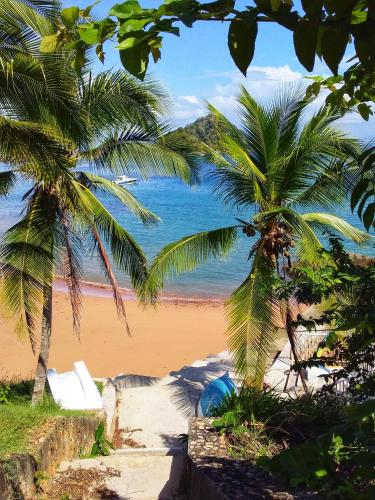 a beach with two palm trees and the ocean at Cerrito Tropical Eco Lodge in Taboga