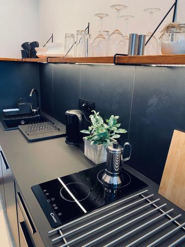 Una cocina o cocineta en Apartamenty Piwniczna