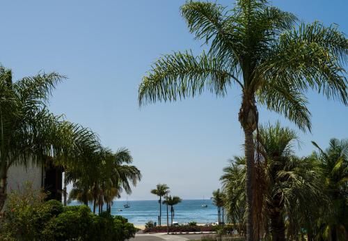 a palm tree with the ocean in the background at Motel 6-Santa Barbara, CA - Beach in Santa Barbara