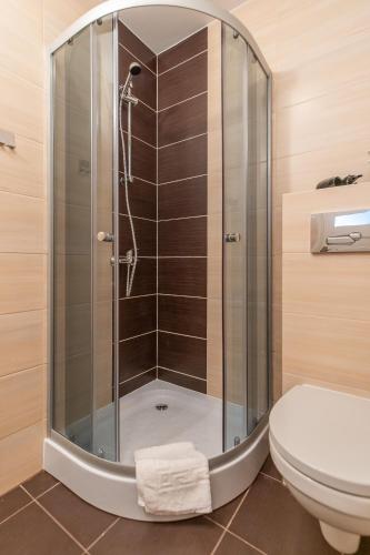 a shower stall in a bathroom with a toilet at Villa Rafałko in Dźwirzyno