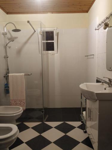 a bathroom with a shower and a toilet and a sink at Casa Daniela in Calheta