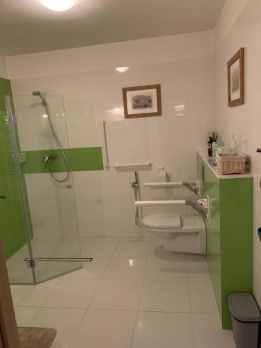 Ένα μπάνιο στο Apartamenty Tomalówka Koscielisko