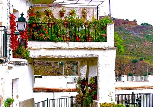 a balcony with potted plants on a building at Casa en Busquistar in Busquístar