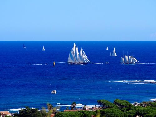 a group of boats sailing in the ocean at Villa Riviera, Sea view, Pool, Jacuzzi, Sauna, Walk to the beach in Sainte-Maxime