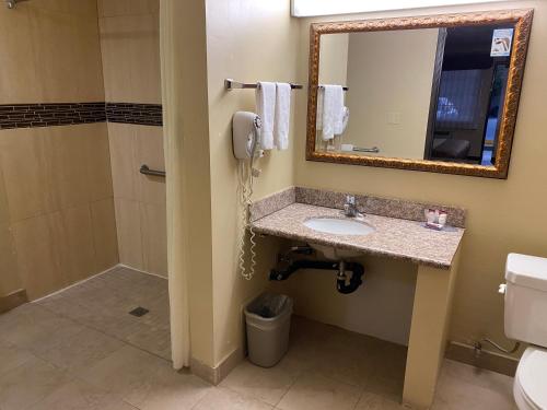 Vonios kambarys apgyvendinimo įstaigoje Chariot Inn Glendale - Pasadena