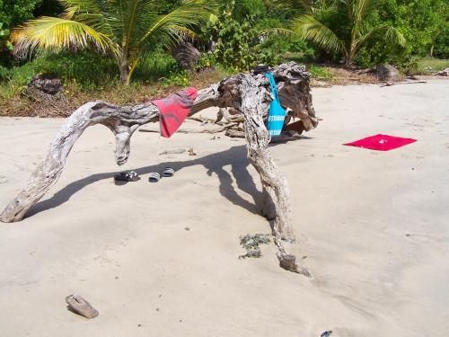 a statue of a dog on the beach at Cabier Ocean Lodge in Crochu