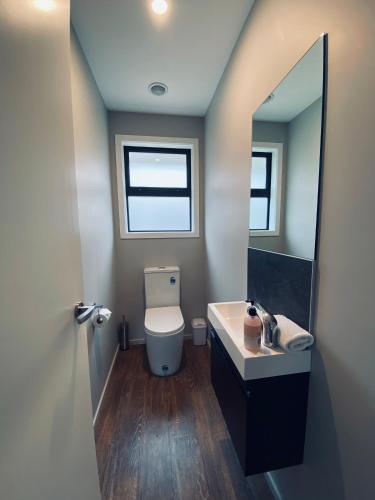 a bathroom with a toilet and a sink and a mirror at Lake Views at Antler Lodge in Lake Tekapo