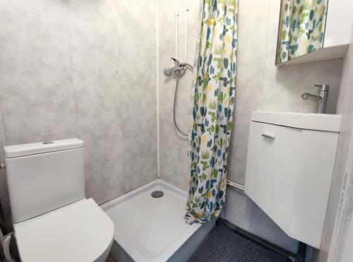 a small bathroom with a toilet and a shower at Studio éco proche du phare in Calais