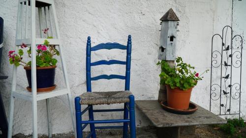 a blue chair sitting on a table with potted plants at Urlaub am Ruthnerberg in Schwarzenau