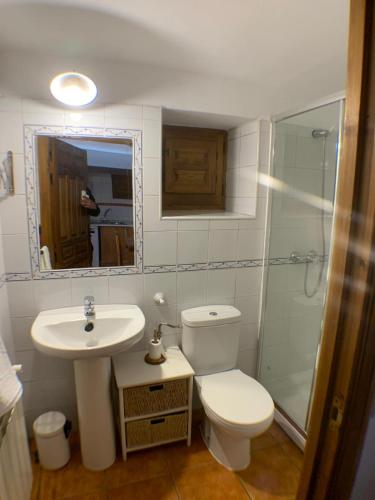 ein Bad mit einem WC, einem Waschbecken und einer Dusche in der Unterkunft Casa La Fragua in La Hiruela