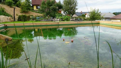 Ein Pool voller Wasser mit einem Haufen Objekte darin. in der Unterkunft Urlaub am Ruthnerberg in Schwarzenau