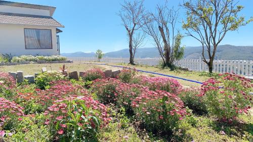 a garden with pink flowers in front of a house at Cánh Đồng Mây Homestay Đà Lạt in Ấp Ða Lôc