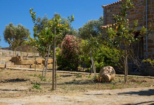 a group of trees in a garden at Afentiko Pigadi in Methoni