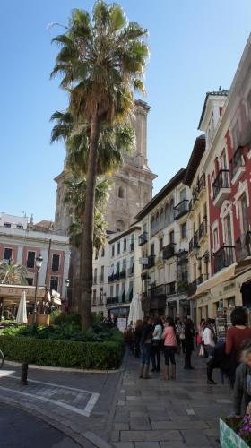 Apartamentos Los Lobos