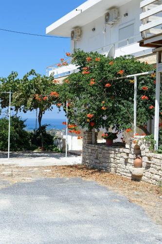 a tree with orange flowers on a building at PANORAMA in Pitsidia