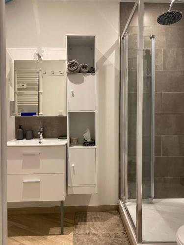baño blanco con ducha y lavamanos en Le studio à découvrir., en Marquette-lès-Lille